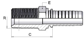 capaCatalogo