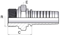 capaCatalogo