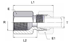 capaCatalogo