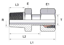 capaCatalogo