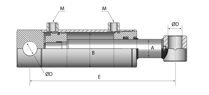 capaCatalogo