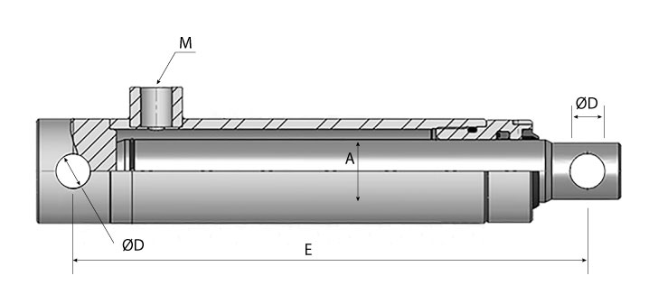 capaCatalogo