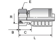 capaCatalogo